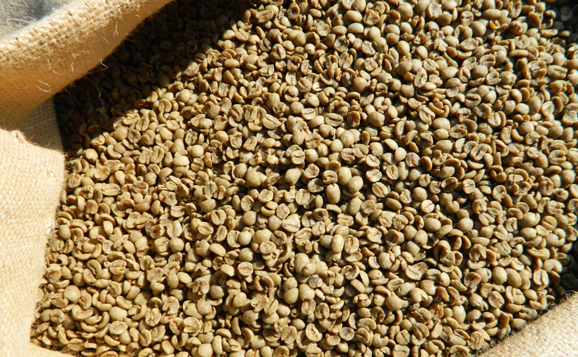 cialde aroma decaffeinato