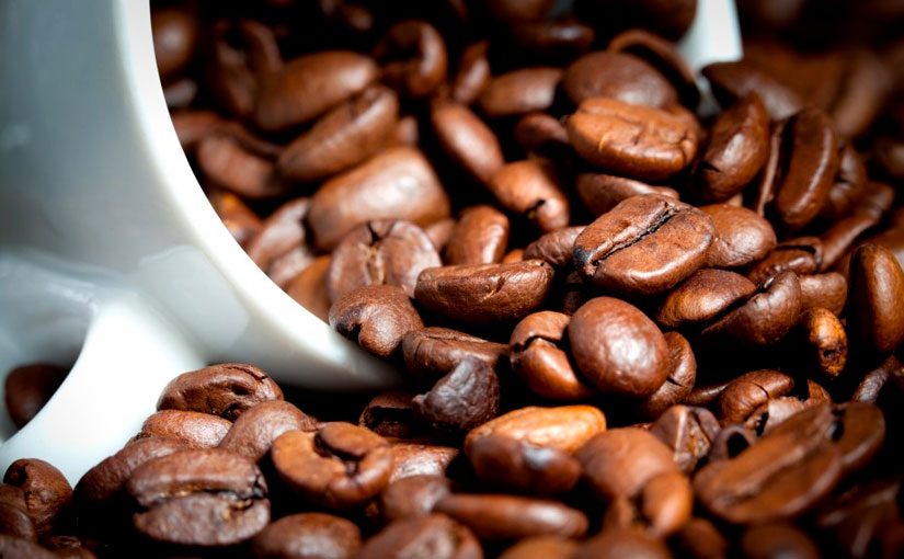 vendita cialde caffè online